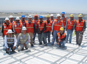Tritektura's Team