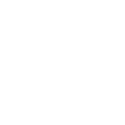 Graphic Element: Experience